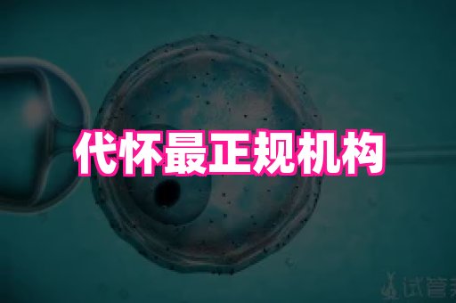 123试管孕网 4